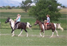 Kentucky Mountain Saddle Icelandic Peruvian Paso Paso Fino