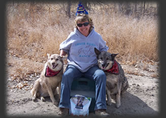 About Pam  Henry Gaited Horse Trainer- Penrose, Colorado